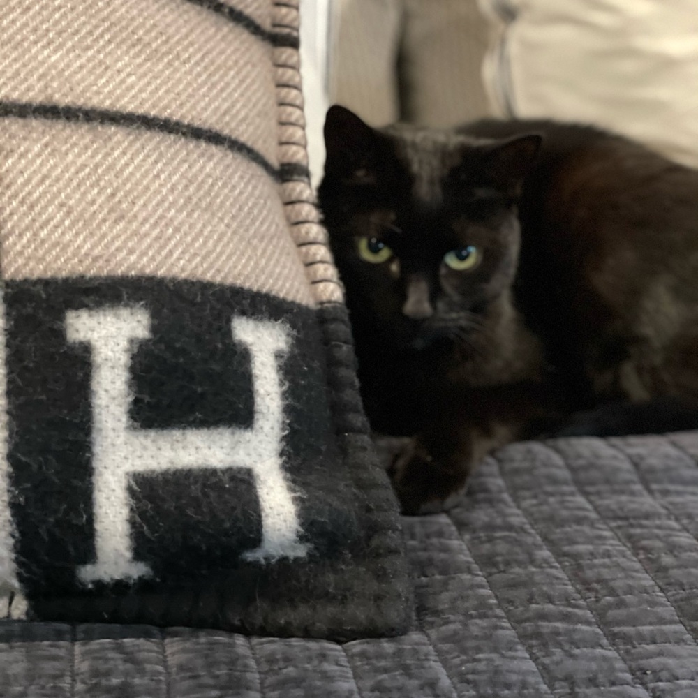 Meet your Posher, Susan